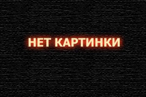  Пернатые друзья смотреть онлайн (2019) 